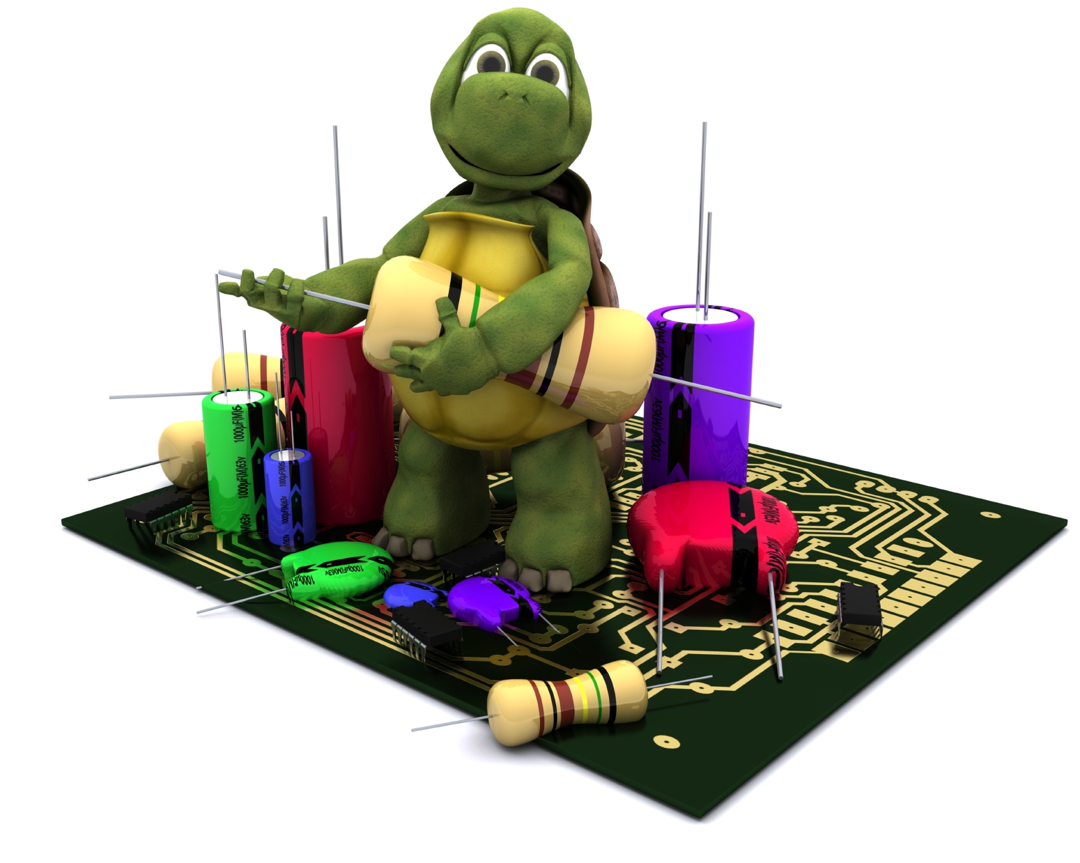 Turtle Circuitboard